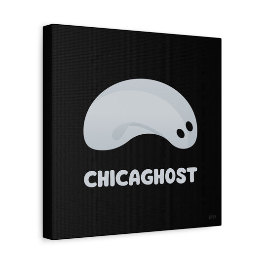 Chicaghost 🇺🇸