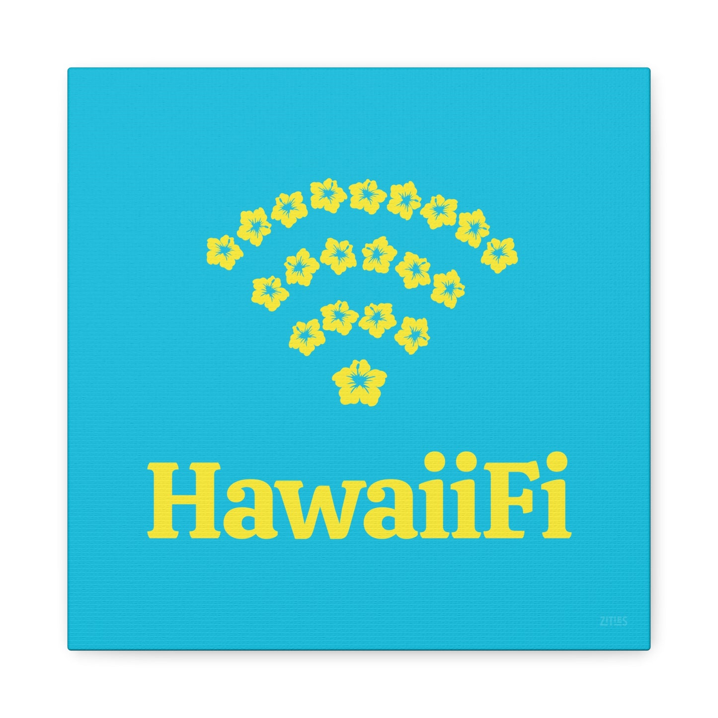 HawaiiFi 🇺🇸
