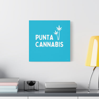 Punta Cannabis 🇩🇴
