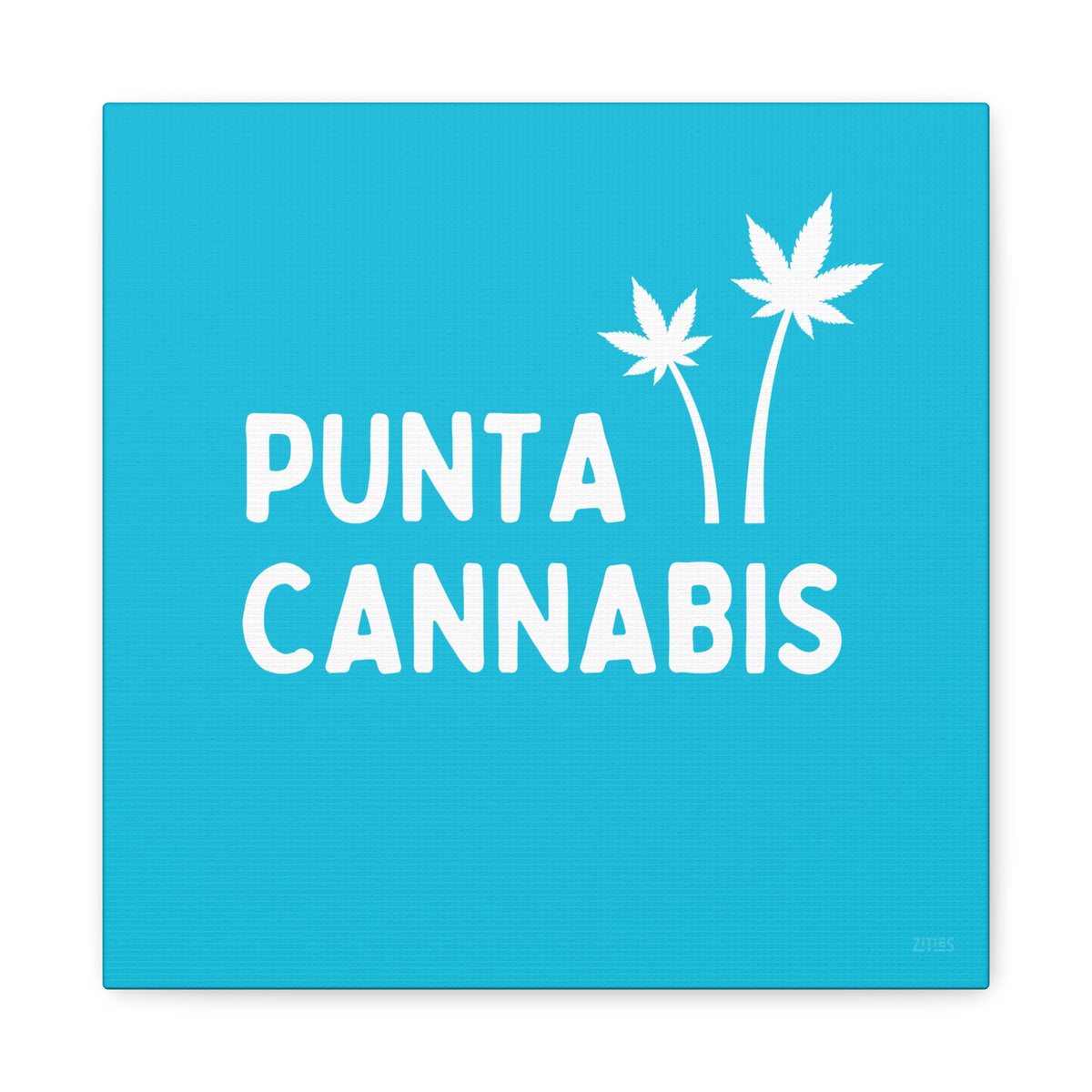 Punta Cannabis 🇩🇴