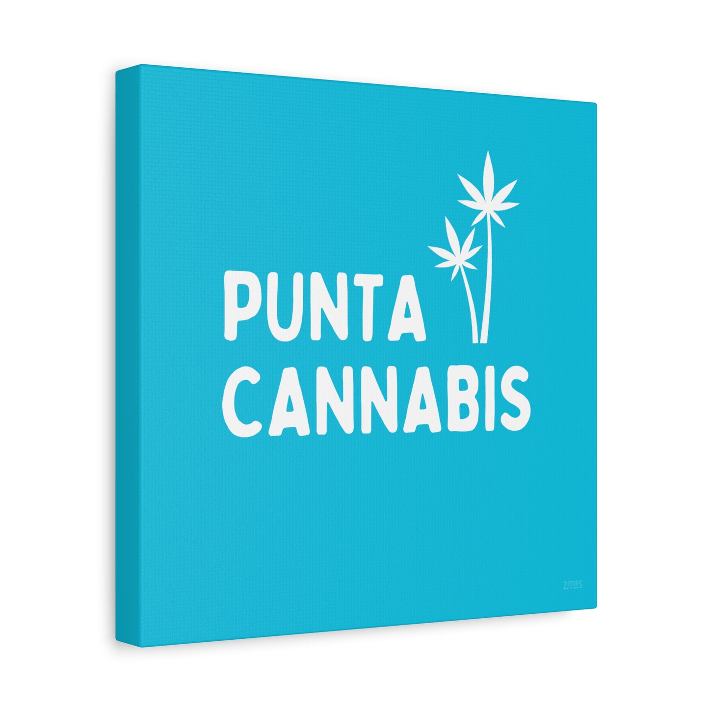 Punta Cannabis 🇩🇴
