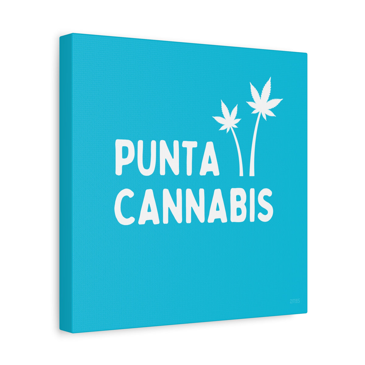 Punta Cannabis 🇩🇴