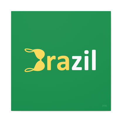 BRAzil 🇧🇷