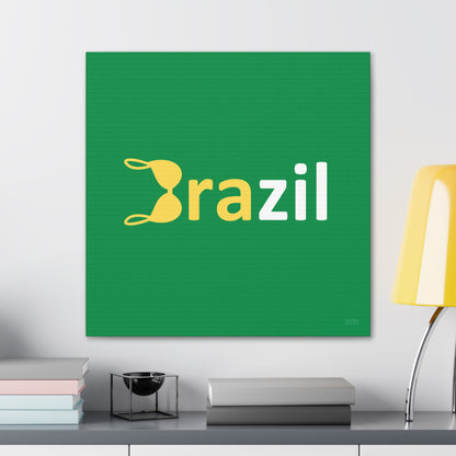 BRAzil 🇧🇷