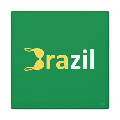 BRAzil 🇧🇷